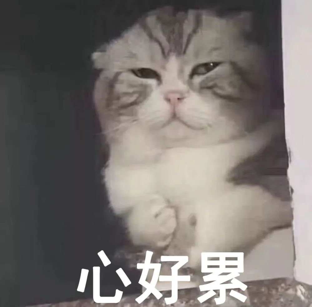 DƬ